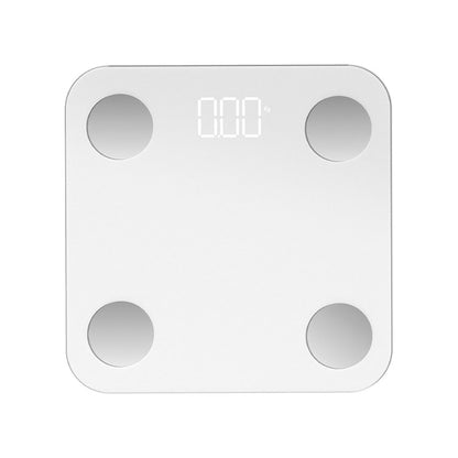 Body Fat Scale
