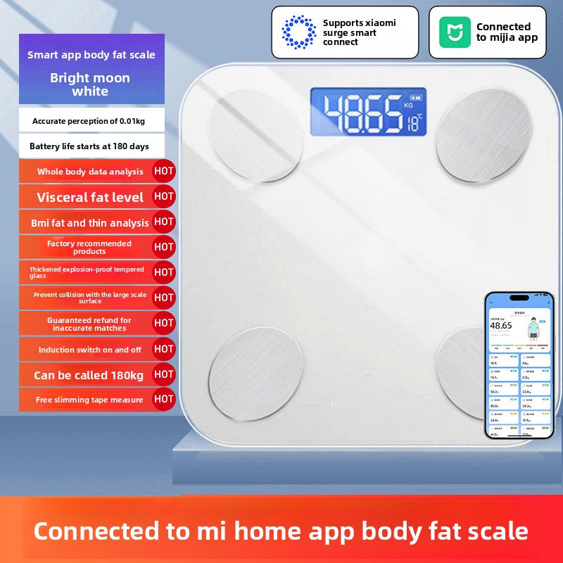 Body Fat Scale