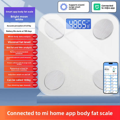 Body Fat Scale