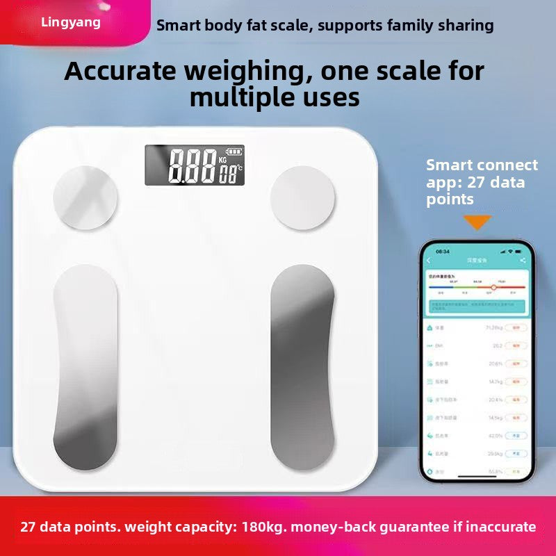 Body Fat Scale