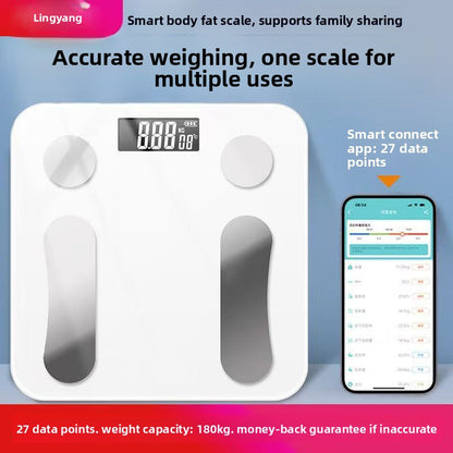 Body Fat Scale
