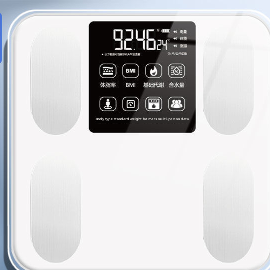 Body Fat Scale