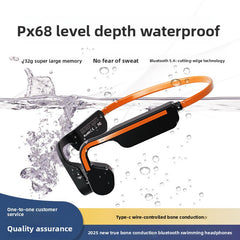 IPX6 Silver Bluetooth