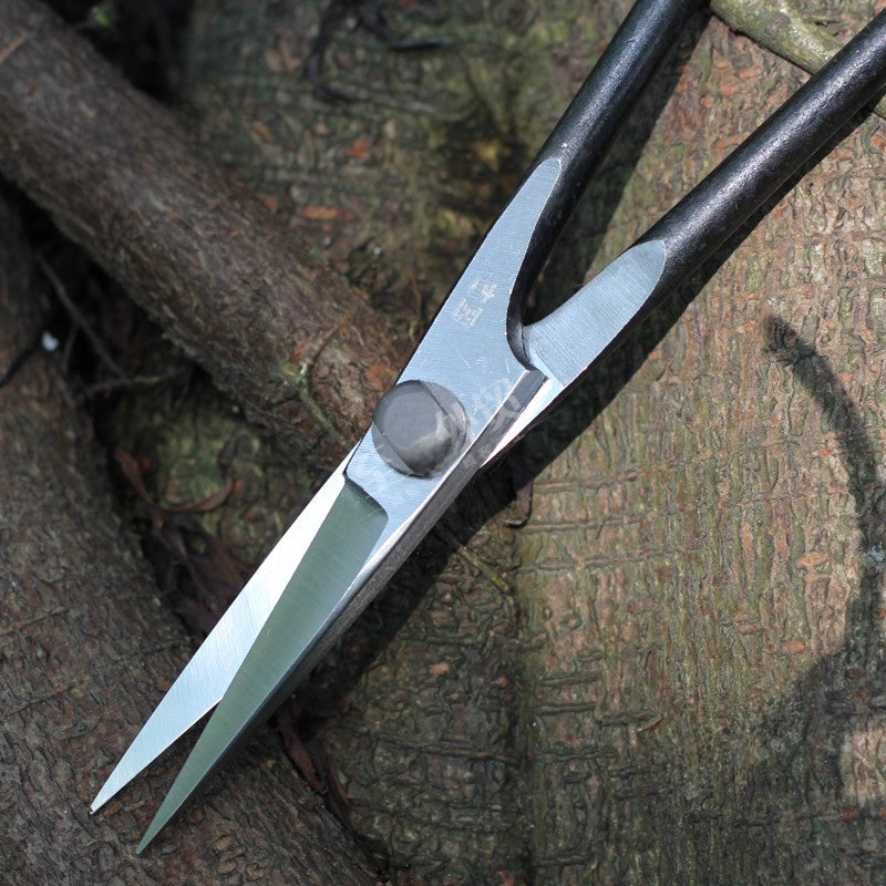 bonsai shears