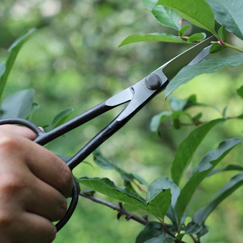 bonsai shears