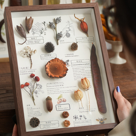 Botanical Specimen Photo Frame