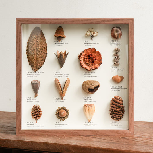 Botanical Specimen Photo Frame