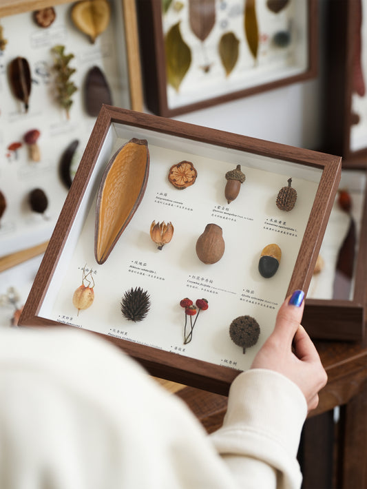 Botanical Specimen Photo Frame