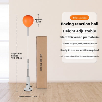 Boxing Training Ball