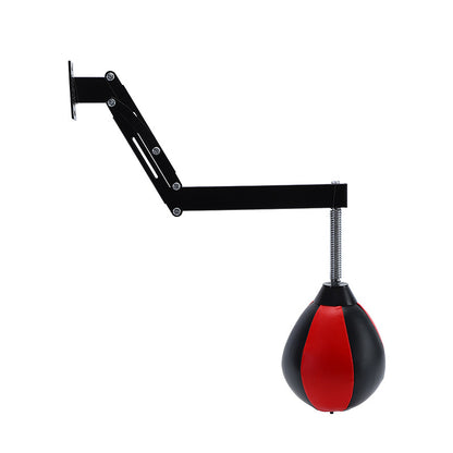 Boxing Training Ball