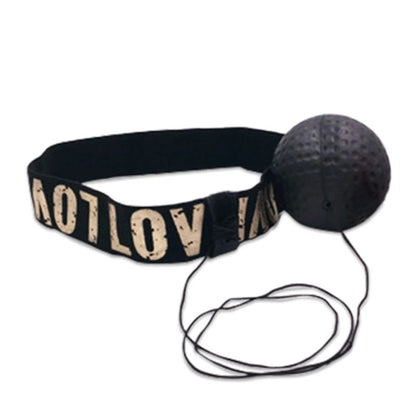 Boxing Training Ball