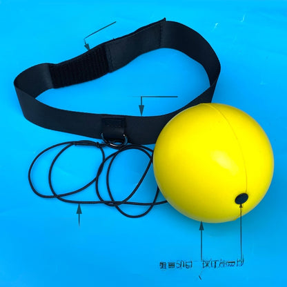Boxing Training Ball