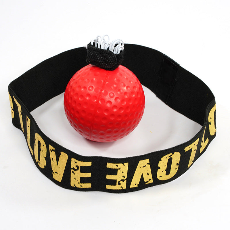 Boxing Training Ball