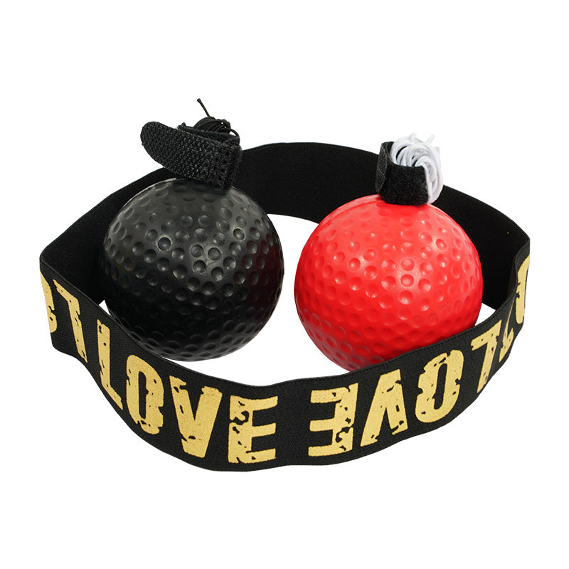 Boxing Training Ball