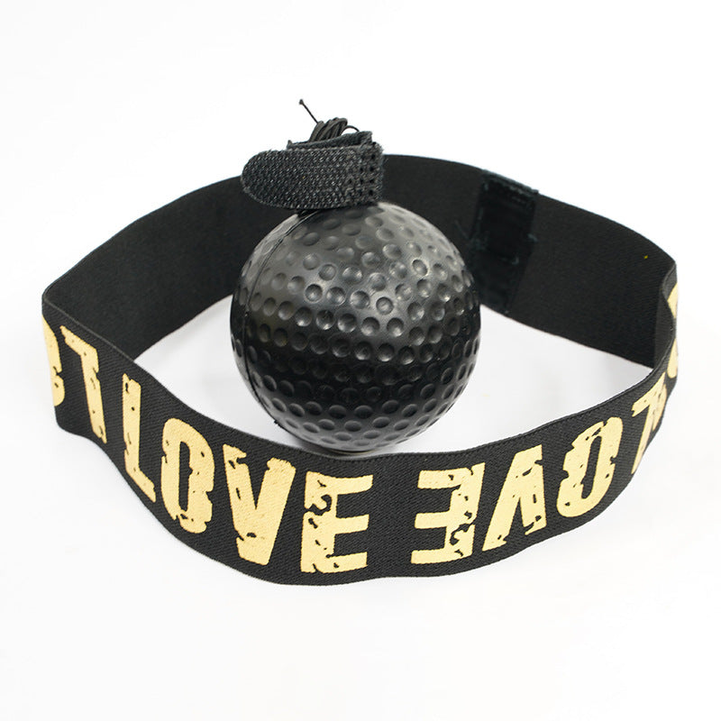 Boxing Training Ball