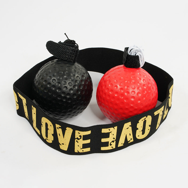 Boxing Training Ball