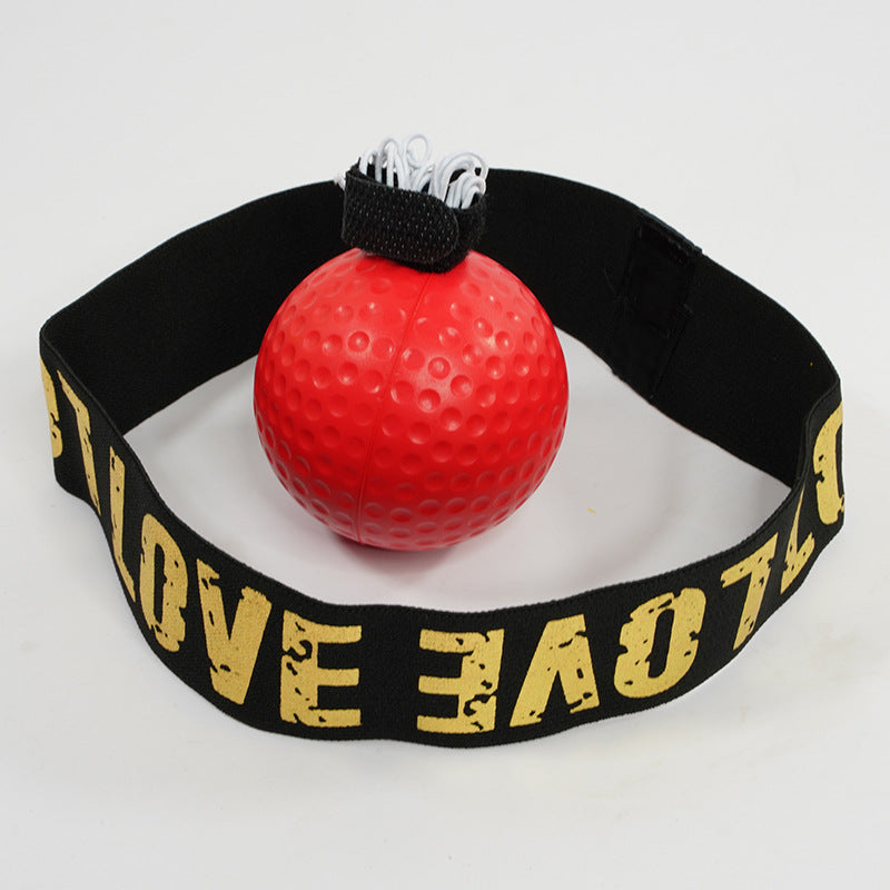 Boxing Training Ball