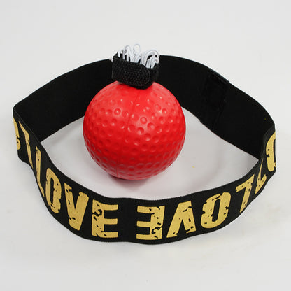 Boxing Training Ball