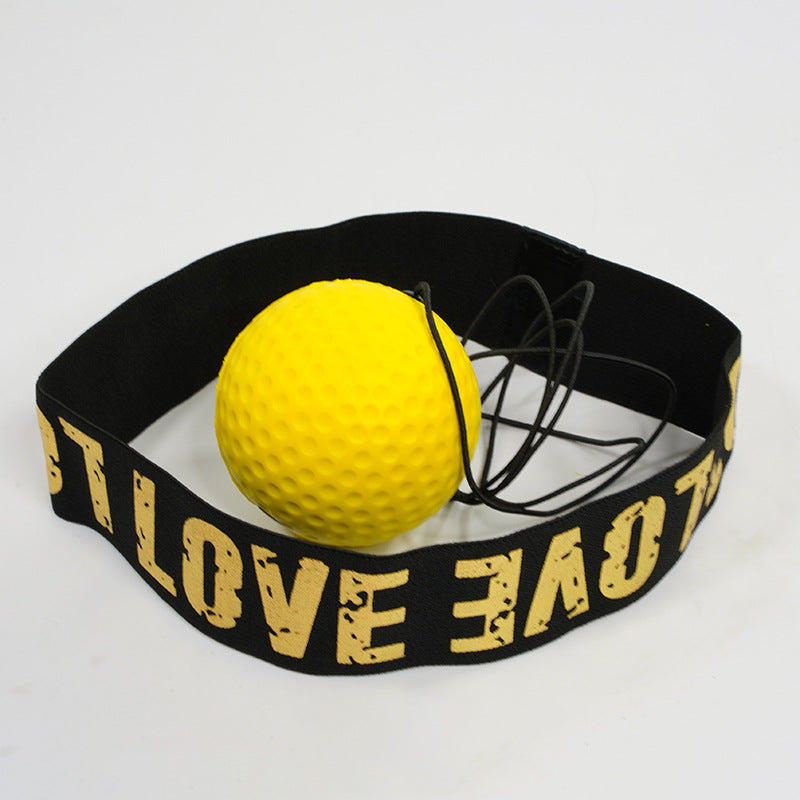 Boxing Training Ball