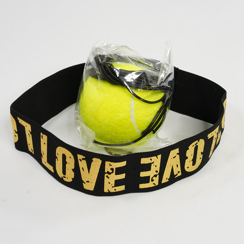Boxing Training Ball