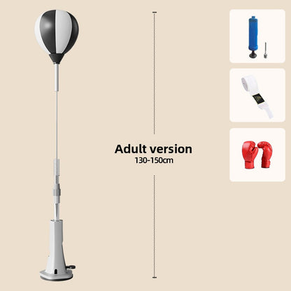 Boxing Training Equipment