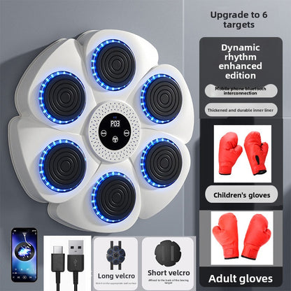 boxing training equipment