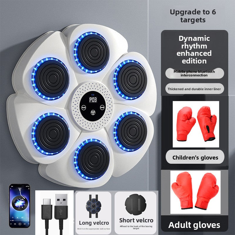 boxing training equipment