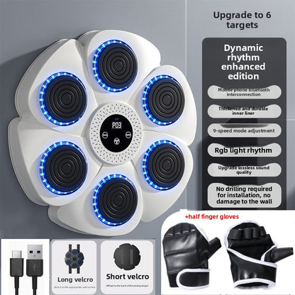 boxing training equipment