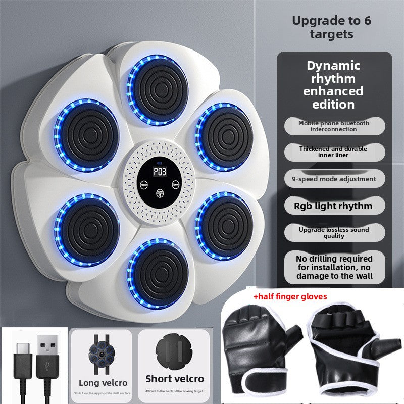 boxing training equipment