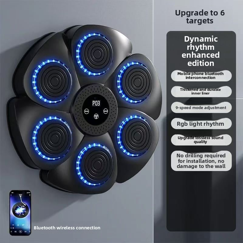 Boxing Training Equipment