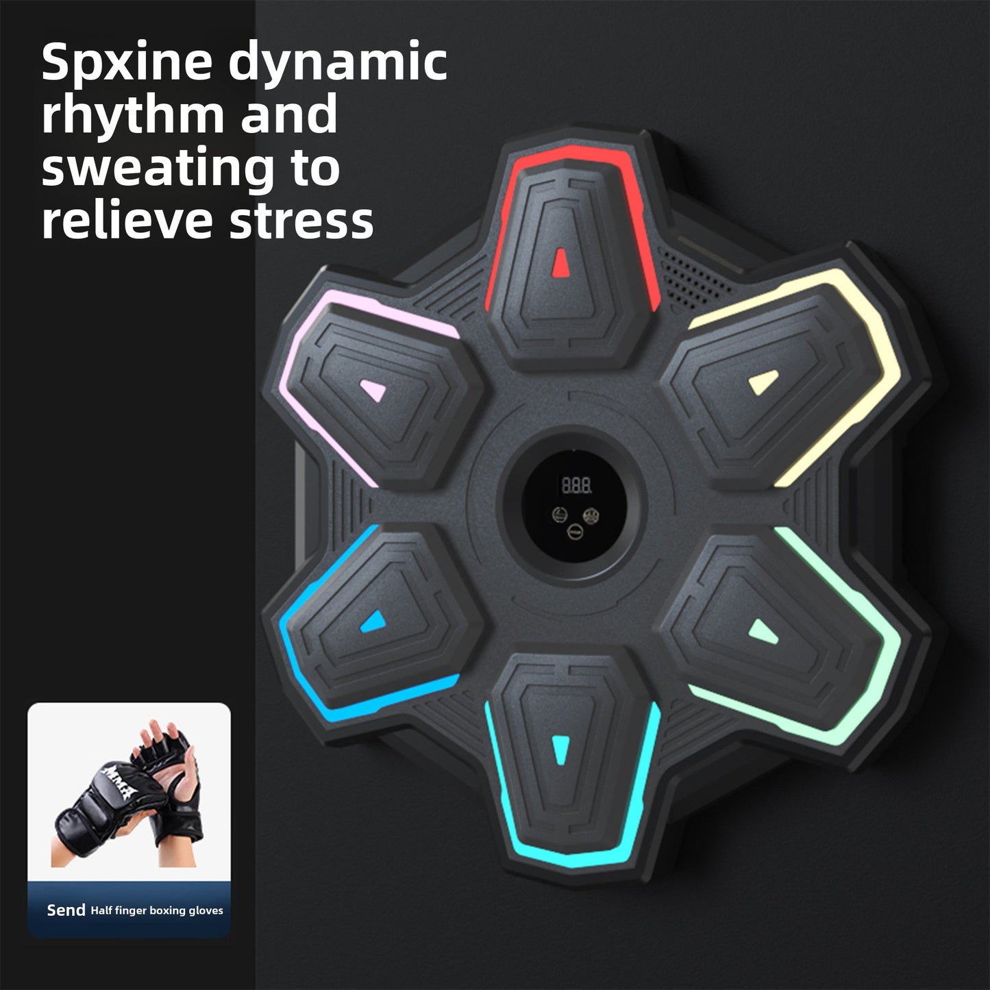 Boxing Training Equipment