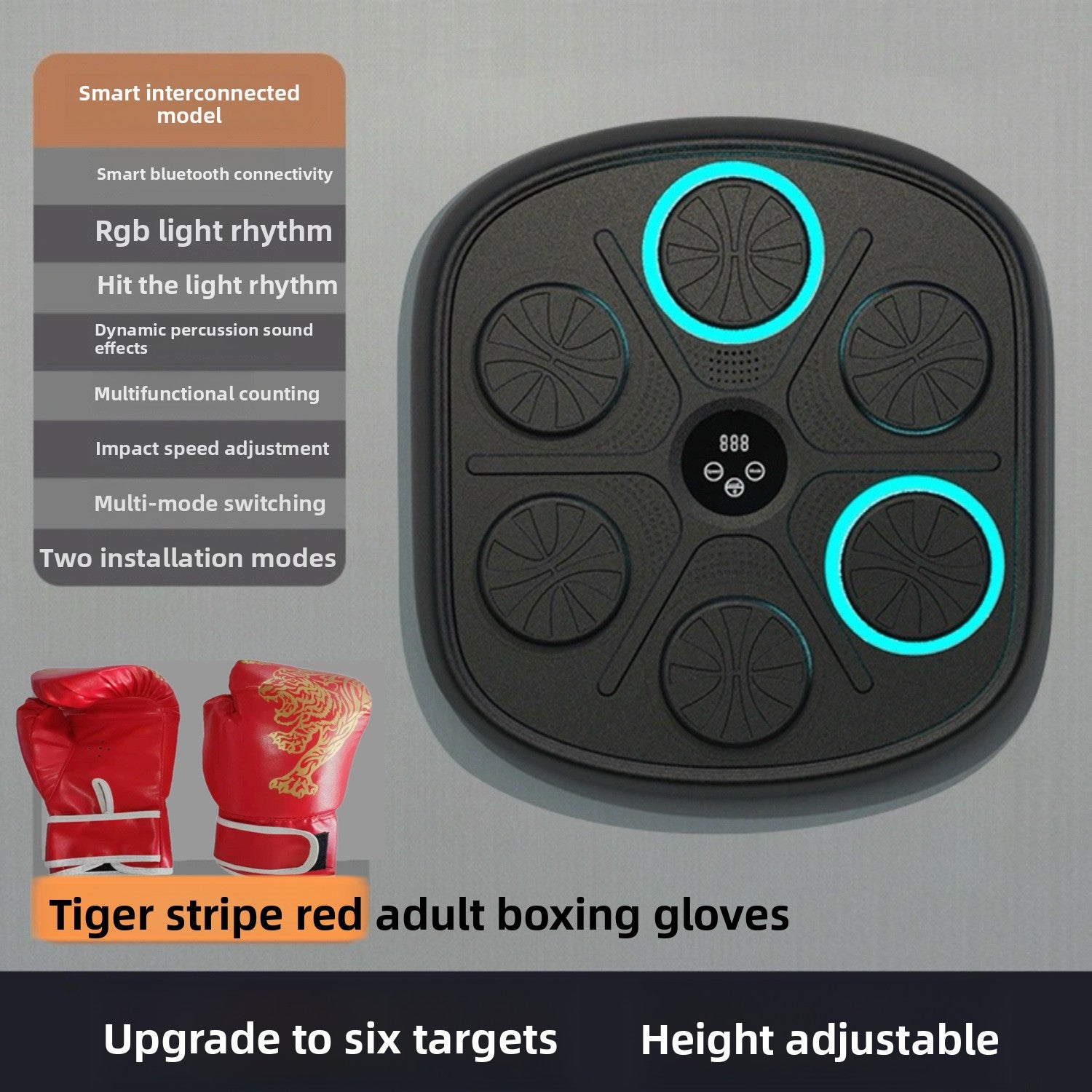 Boxing Training Equipment