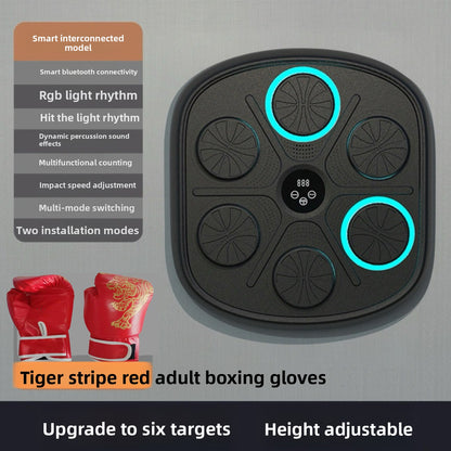 Boxing Training Equipment