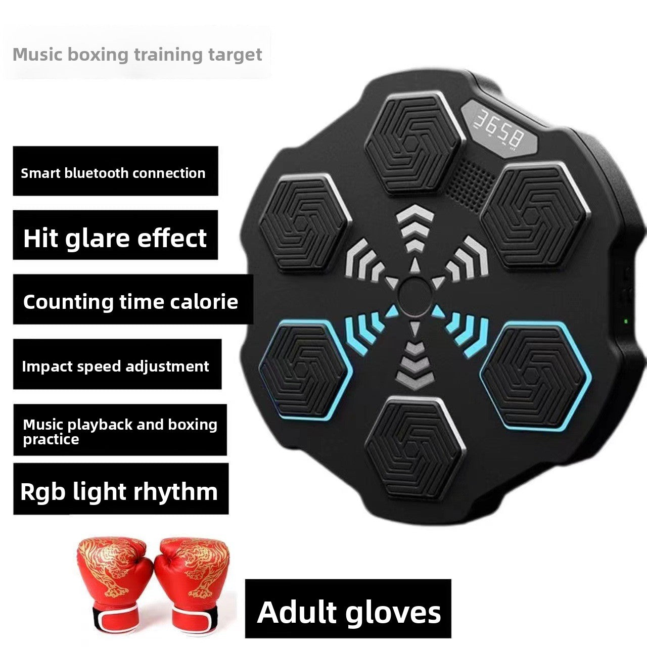 Boxing Training Equipment