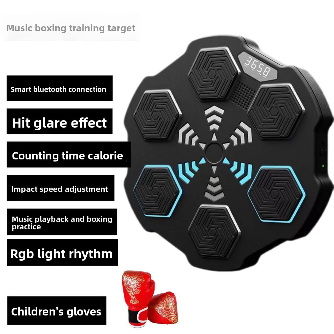 Boxing Training Equipment