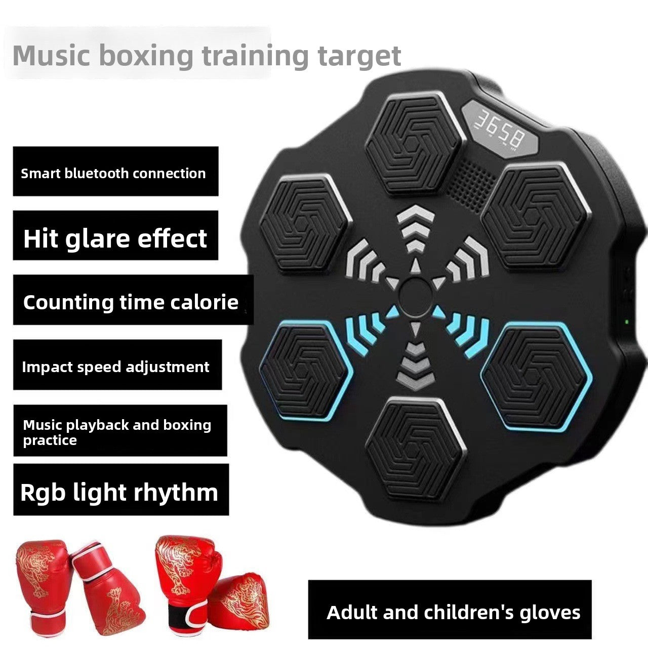 Boxing Training Equipment