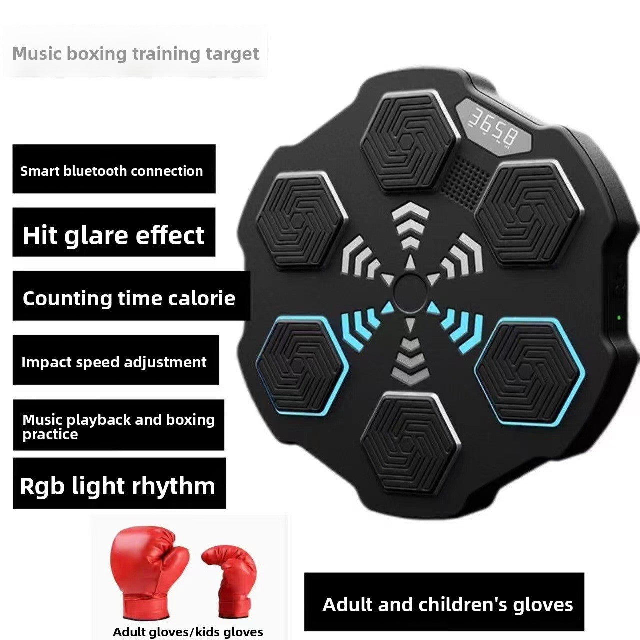 Boxing Training Equipment