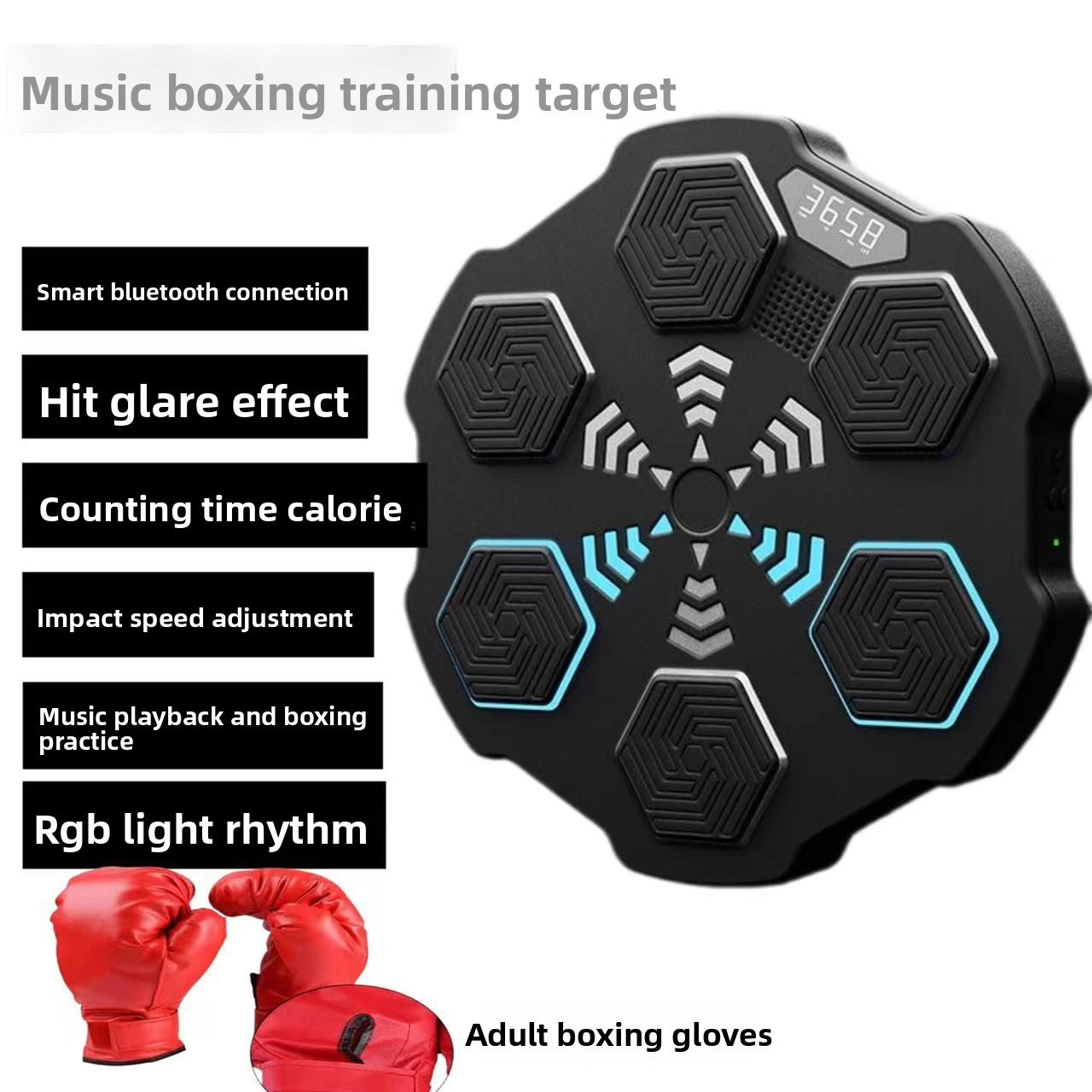 Boxing Training Equipment