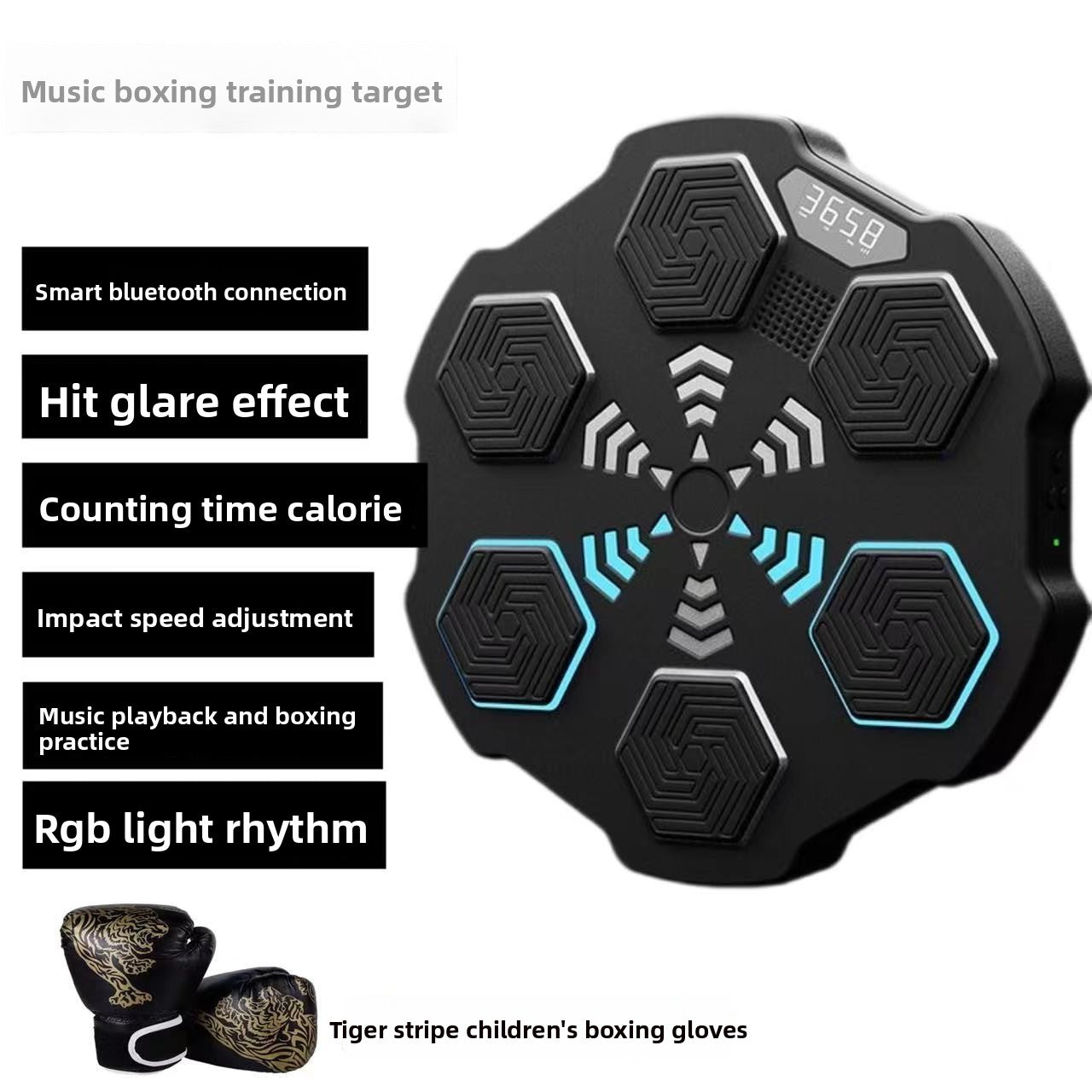 Boxing Training Equipment