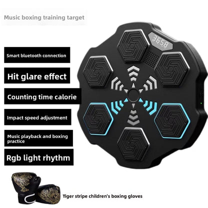 Boxing Training Equipment