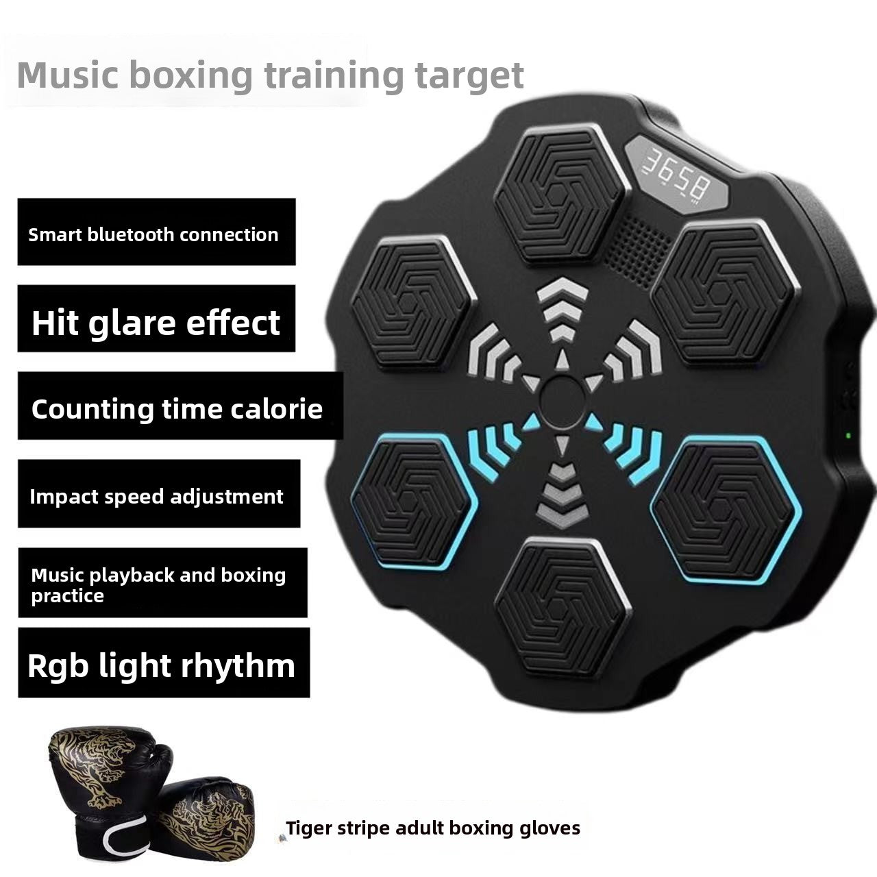 Boxing Training Equipment