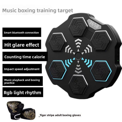 Boxing Training Equipment
