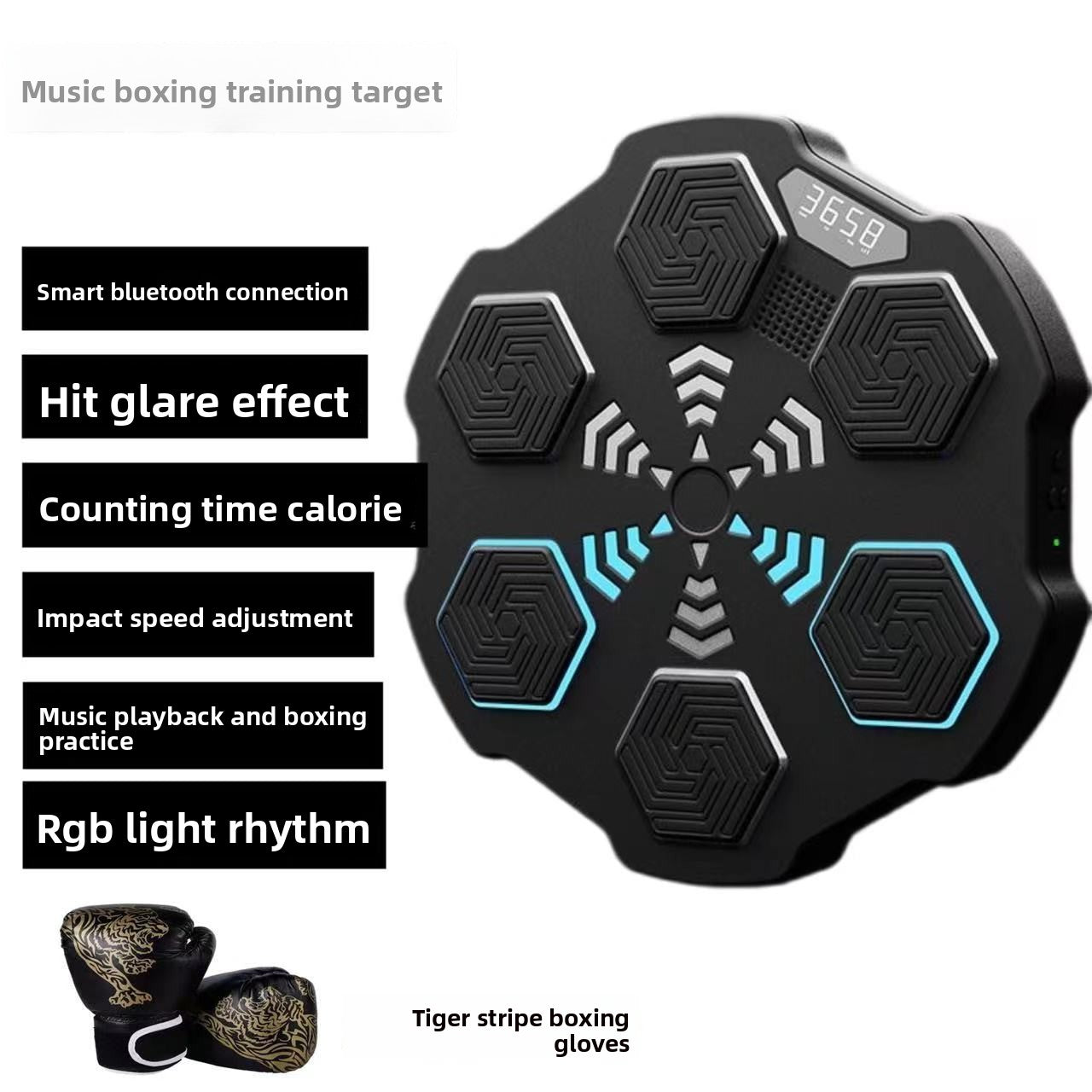 Boxing Training Equipment
