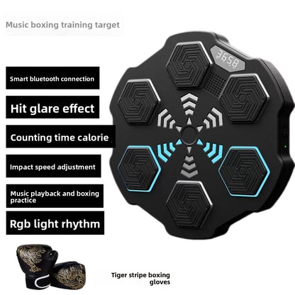 Boxing Training Equipment