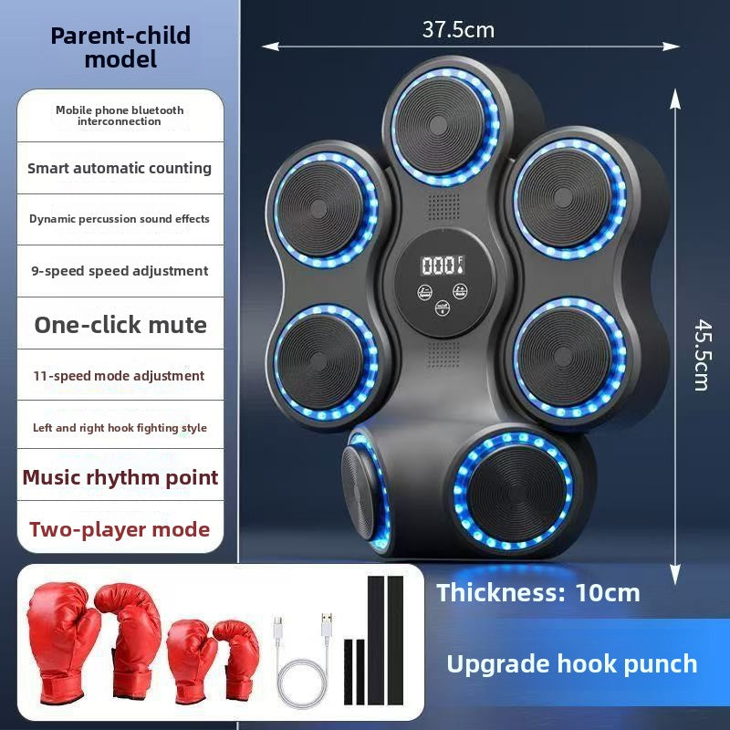Boxing Training Equipment