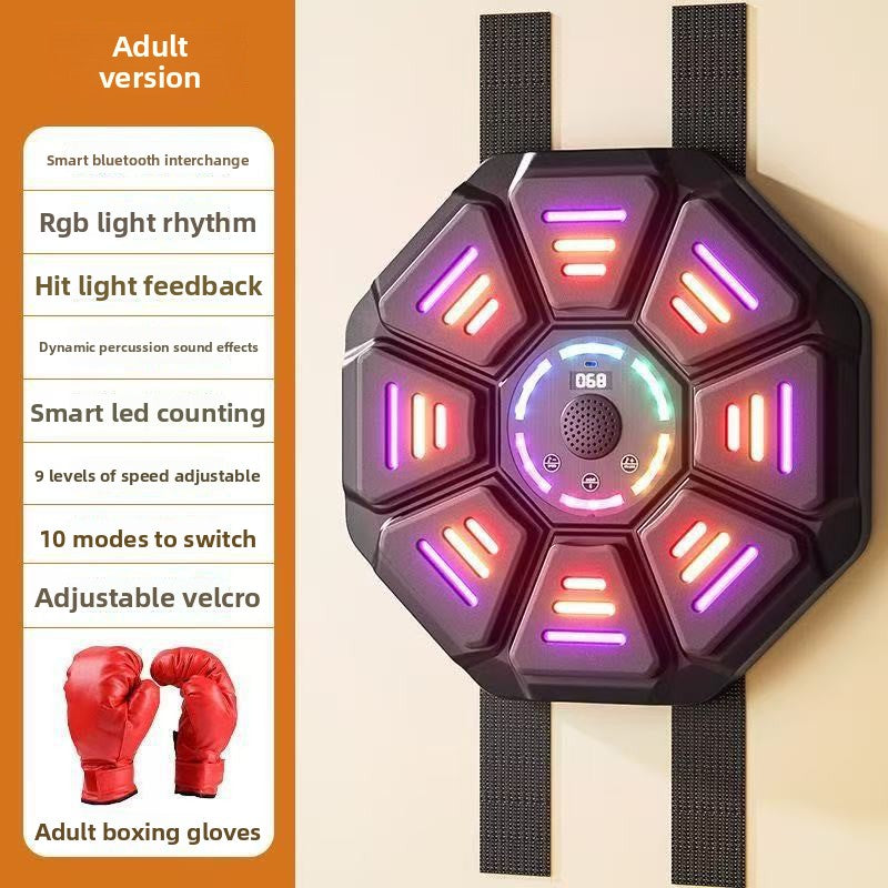Boxing Training Equipment