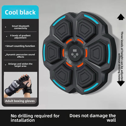 Boxing Training Equipment