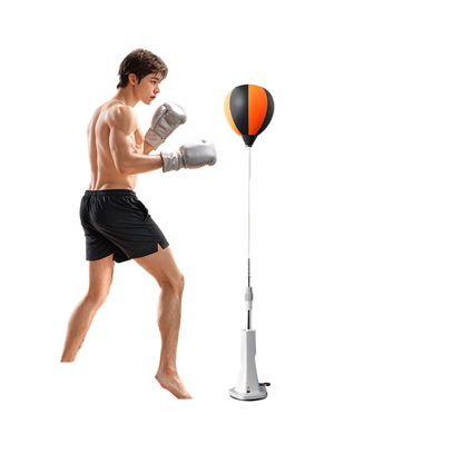 Boxing Training Equipment