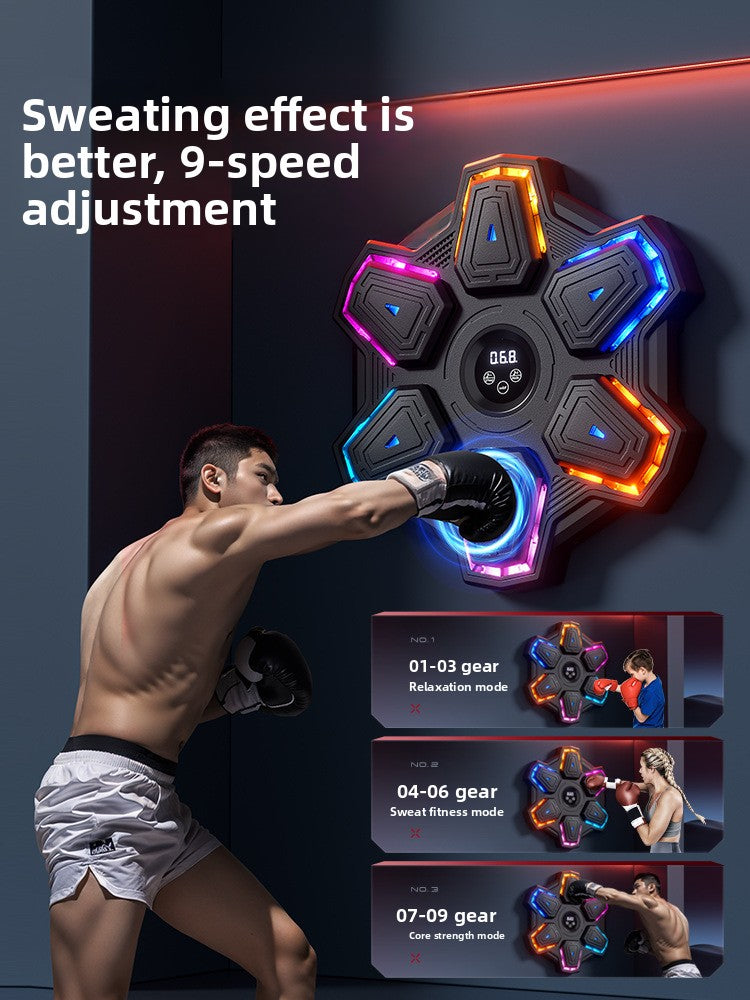 Boxing Training Equipment