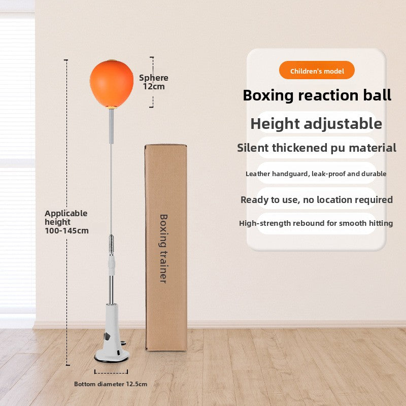 Boxing Training